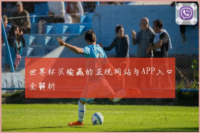 世界杯买输赢的正规网站与APP入口全解析