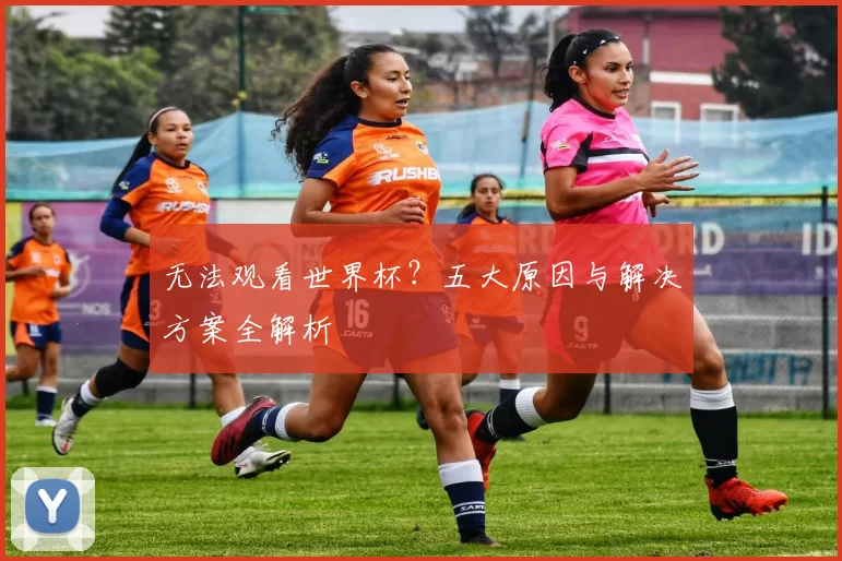 无法观看世界杯?五大原因与解决方案全解析