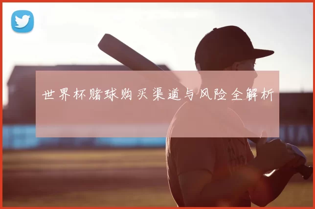 世界杯赌球购买渠道与风险全解析