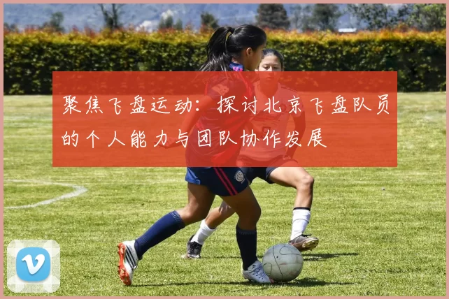聚焦飞盘运动：探讨北京飞盘队员的个人能力与团队协作发展