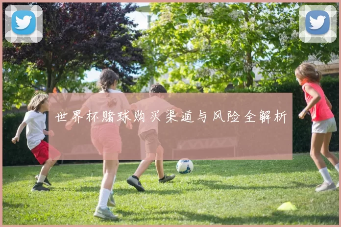 世界杯赌球购买渠道与风险全解析