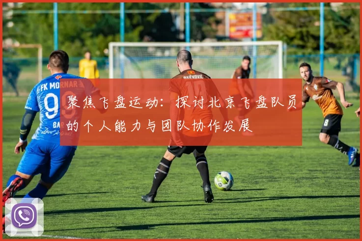 聚焦飞盘运动:探讨北京飞盘队员的个人能力与团队协作发展