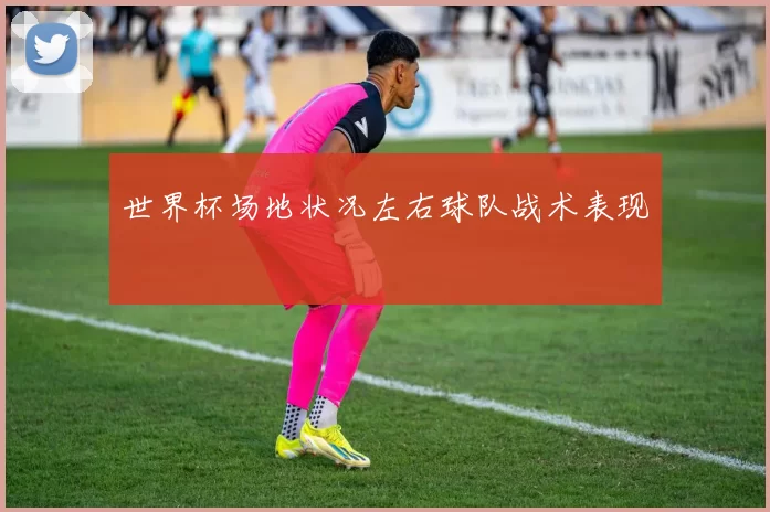 世界杯场地状况左右球队战术表现