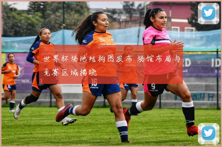 世界杯场地结构图发布 场馆布局与竞赛区域揭晓