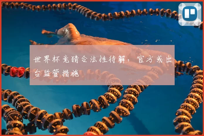 世界杯竞猜合法性待解，官方或出台监管措施