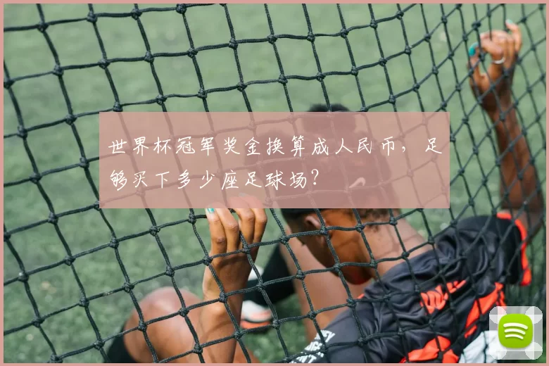 世界杯冠军奖金换算成人民币，足够买下多少座足球场？
