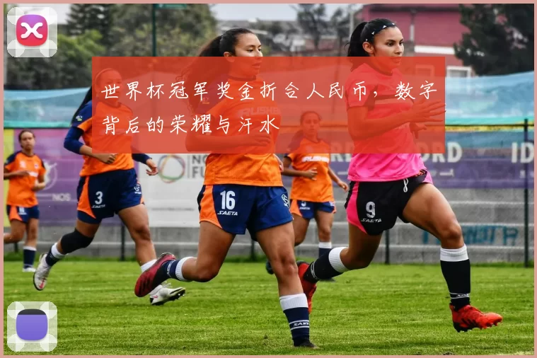 世界杯冠军奖金折合人民币,数字背后的荣耀与汗水