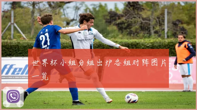 世界杯小组分组出炉各组对阵图片一览