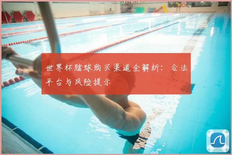 世界杯赌球购买渠道全解析:合法平台与风险提示