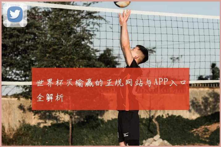 世界杯买输赢的正规网站与APP入口全解析