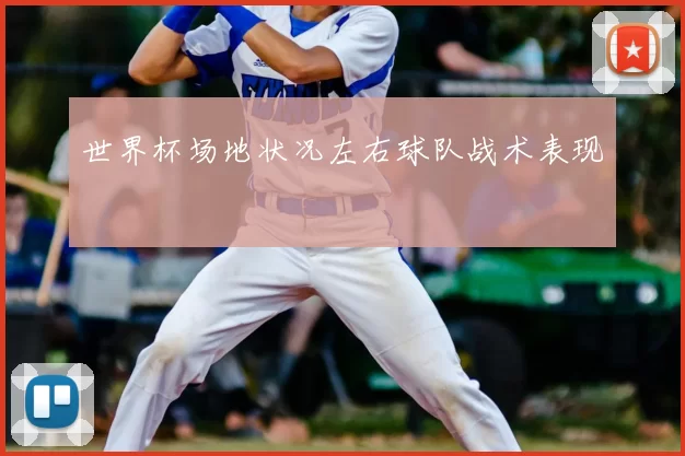 世界杯场地状况左右球队战术表现