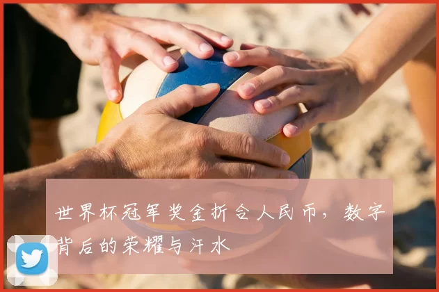世界杯冠军奖金折合人民币,数字背后的荣耀与汗水
