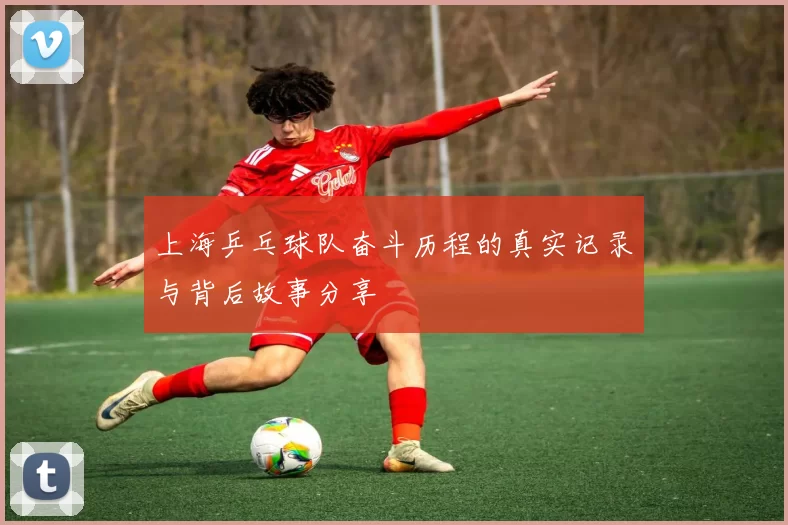 上海乒乓球队奋斗历程的真实记录与背后故事分享